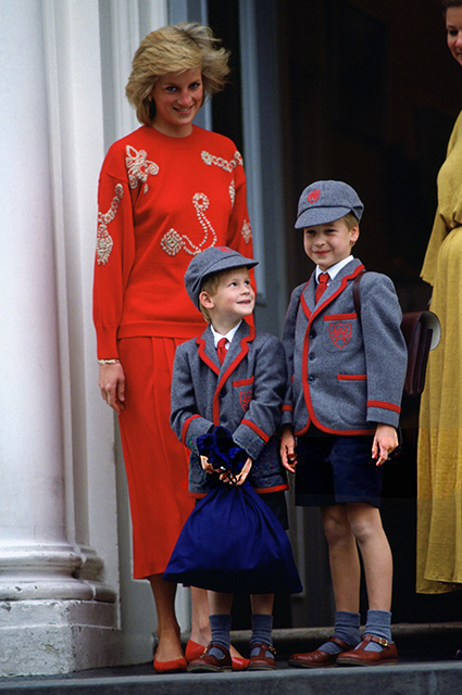 Принц Гарри рассказал о последнем телефонном разговоре со своей матерью принцессой Дианой Монархии