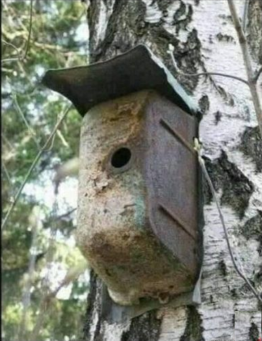 Юмор