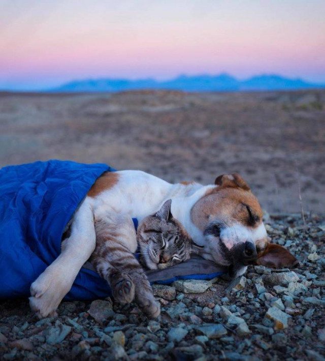 Приколы для расслабона Приколы для расслабона