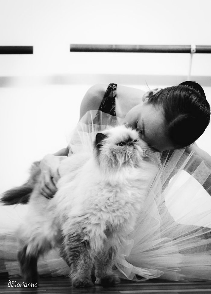 Когда пушистые комочки урчат и радуются Когда пушистые комочки урчат и радуются