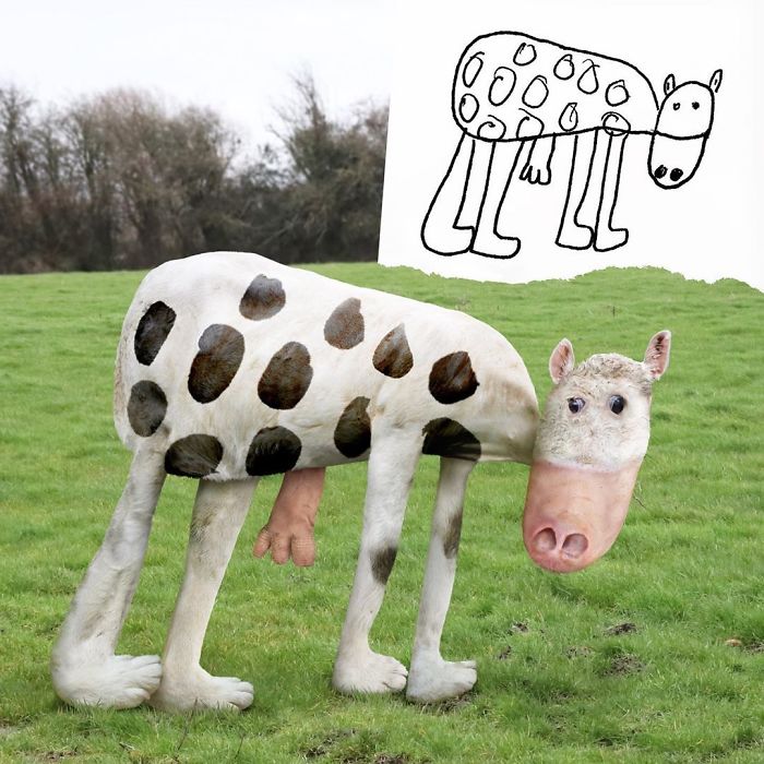 фото и рисунок коровы
