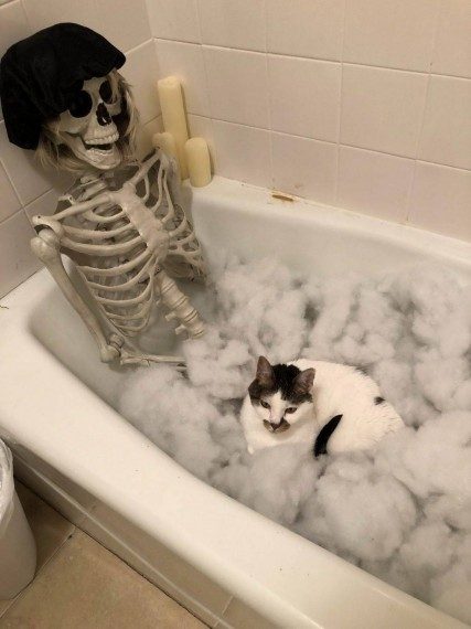 Весёлая подборка 