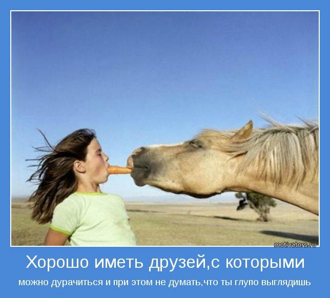 Подборка мотиваторов для поднятия настроения Подборка мотиваторов для поднятия настроения