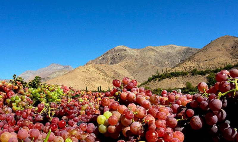 Стабильность в огне. Почему взбунтовалась Чили? геополитика