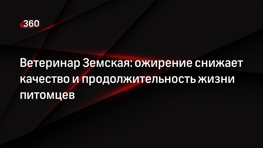 Ветеринар Земская: ожирение снижает качество и продолжительность жизни питомцев