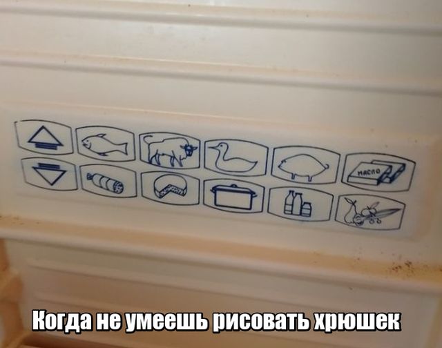 Подборка веселых надписей к картинкам и фото из сети 