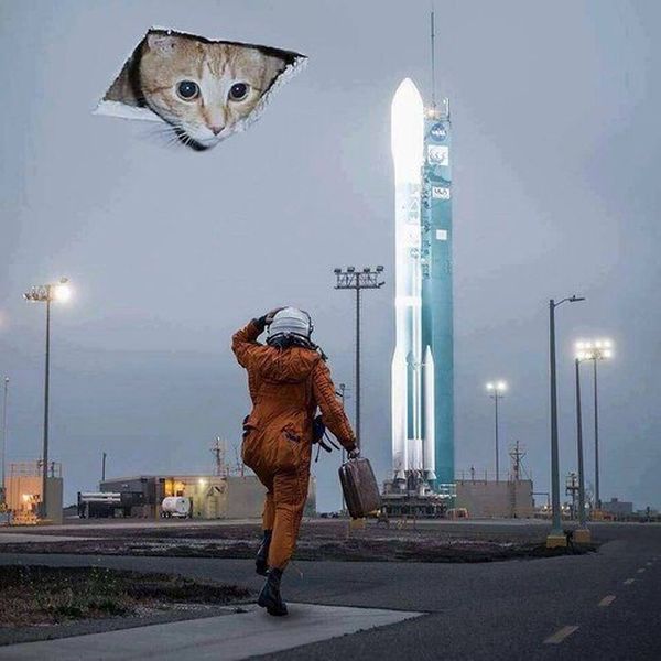 Подборка картинок. Дневной выпуск (50 фото)