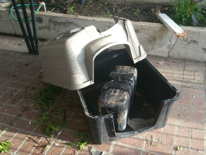Наркотики с небес. Наркотики с небес.
