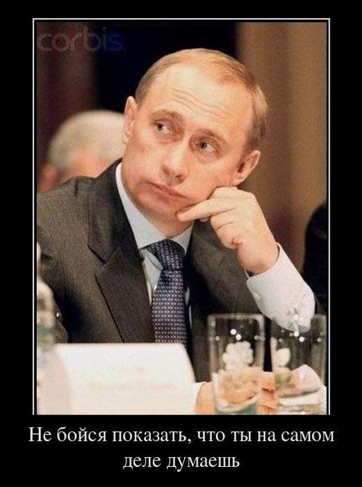 Не бойся показать