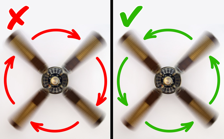 Как спастись от жары, если у вас нет кондиционера Как спастись от жары, если у вас нет кондиционера технологии