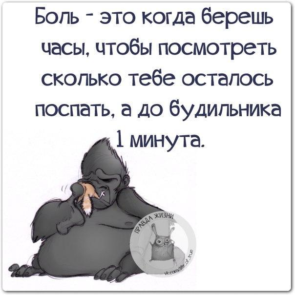 Веселые картинки с позитивчиком Веселые картинки с позитивчиком