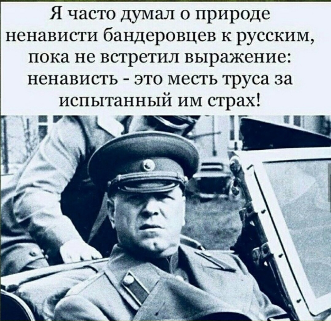 Ненавижу русских женщин