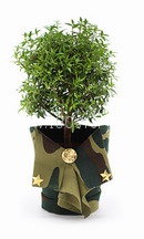 Школьница и папины друзья