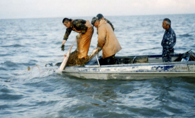 Пираты Каспия: противостояние с браконьерами Пираты Каспия: противостояние с браконьерами браконьеры