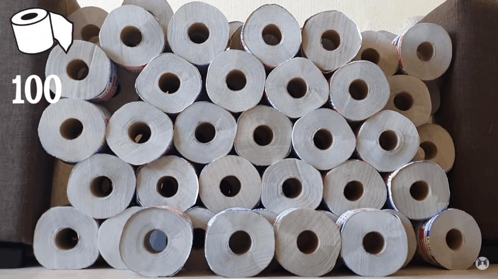 100 рулонов туалетной бумаги — хозяева сделали коту необычный подарок истории из жизни
