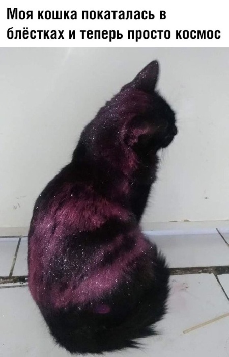 Подборка прикольных картинок  смешные картинки