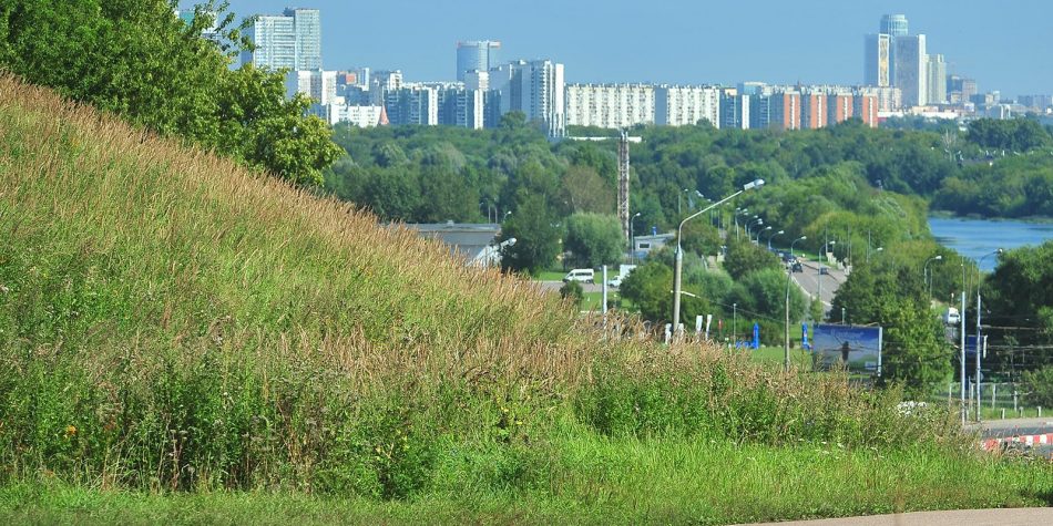 Москворецкий парк/mos.ru