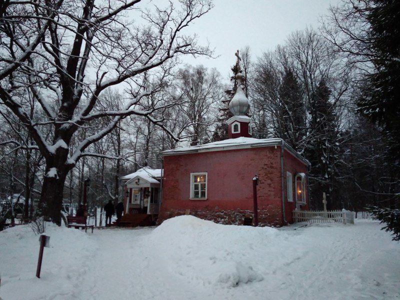 Прогулка по усадьбе Мураново путешествия, тютчев, факты, фото