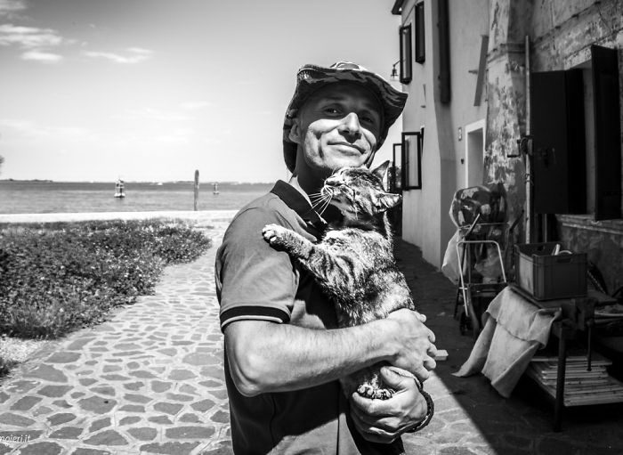 Когда пушистые комочки урчат и радуются Когда пушистые комочки урчат и радуются