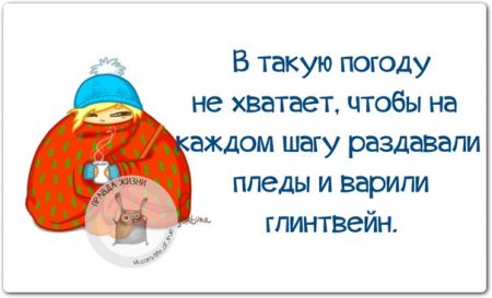 Смешные фразы на картинках Смешные фразы на картинках