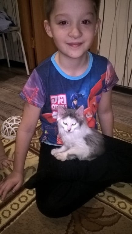 Появление Петьки семья не планировала. Котенок, плакавший в подъезде, изменил жизнь людей к лучшему истории из жизни,супер