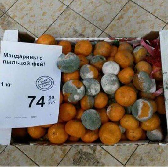 Объявления, которые заставили нас ползать по полу от смеха