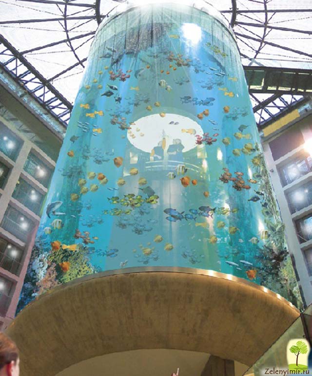 Самый огромный аквариум в мире — «Аквадом» в Берлине, Германия 