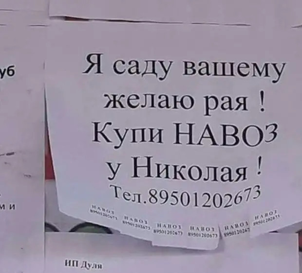 — Ну, дочери мои любимые, что привезти вам из стран заморских? — Зашибись! То есть мы не едем? 