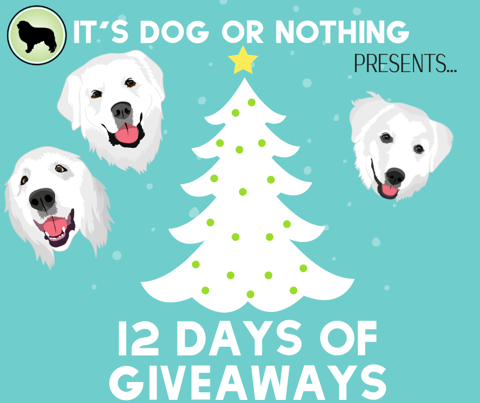 It's the most wonderful time of the year. Join It's Dog or Nothing for our 12 days of giveaways!