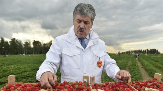 Дмитрий Ольшанский. Почему толковому Грудинину не одолеть вовек бестолочь Ксению Навальную
