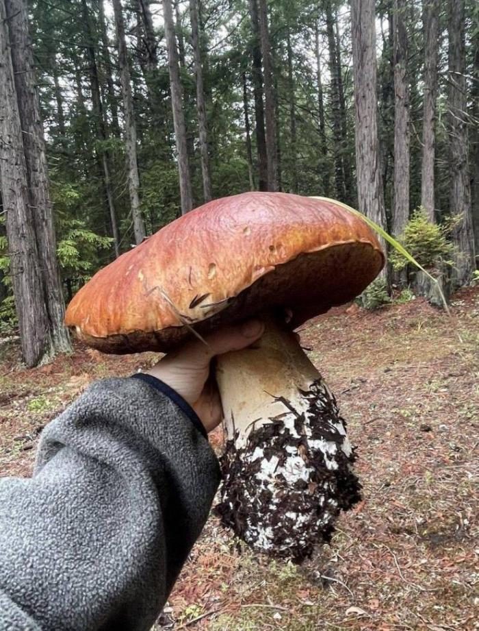 Свежие фотоприколы и смешные картинки 