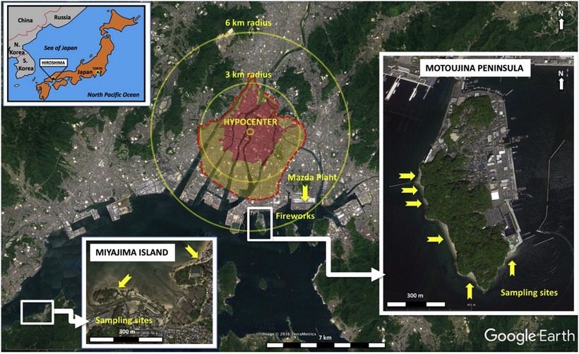 Хиросимиты — странные артефакты, рожденные пламенем ядерной бомбы