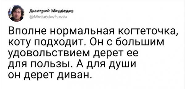 Сладкое есть можно, только немного, не на ночь, и нельзя! 