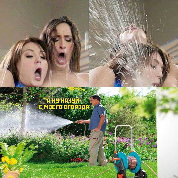 Подборка смешных картинок для поднятия настроения 