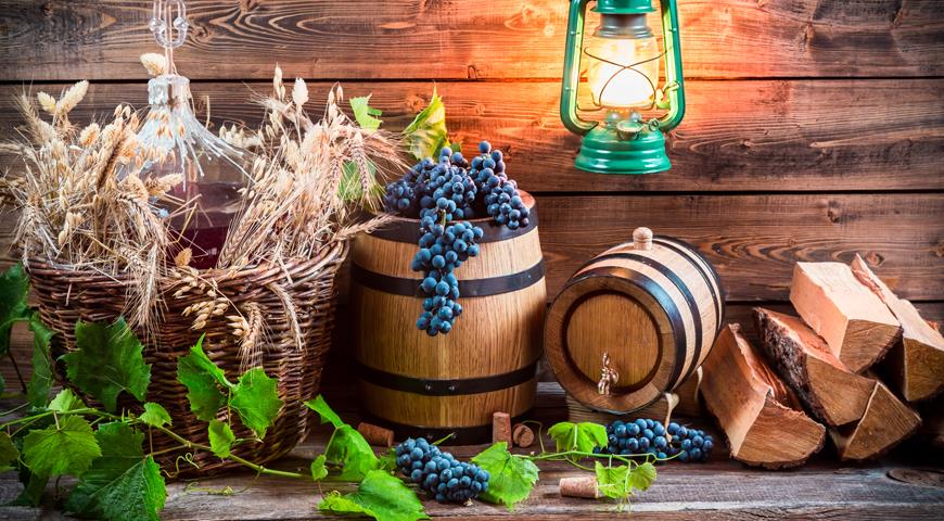 12 лучших винных сортов винограда для северного виноградника винограда, сортов, сорта, Винный, виноград, Каберне, винных, гармоничный, Ягоды, более, Сахаристость, созревания, ягоды, очень, ранний, кислотность, у нас, кожица, Устойчив, к болезням