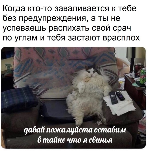 Подборка прикольных картинок Подборка прикольных картинок смешные картинки