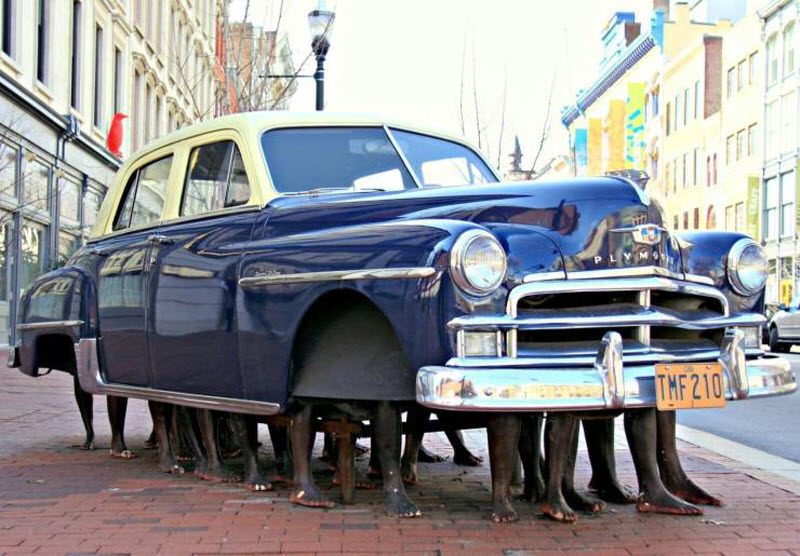 На чемпионате мира по футболу за сборную Франции болела вся Африка На чемпионате мира по футболу за сборную Франции болела вся Африка анекдоты,веселье,демотиваторы,приколы,смех,юмор