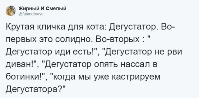 Пользователи соцсетей о необычных кличках домашних питомцев юмор