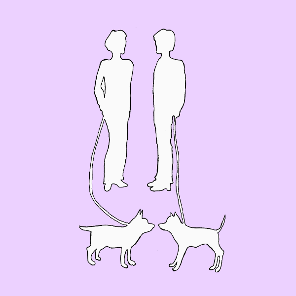 Тест «Прогулка с собакой»