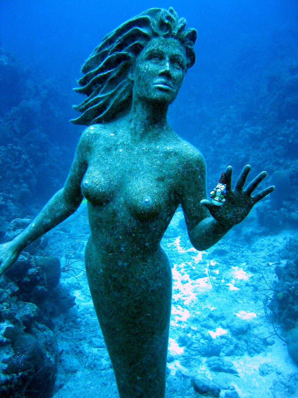 Подводные миры Подводные миры