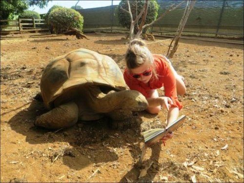 Эмоциональные животные Эмоциональные животные