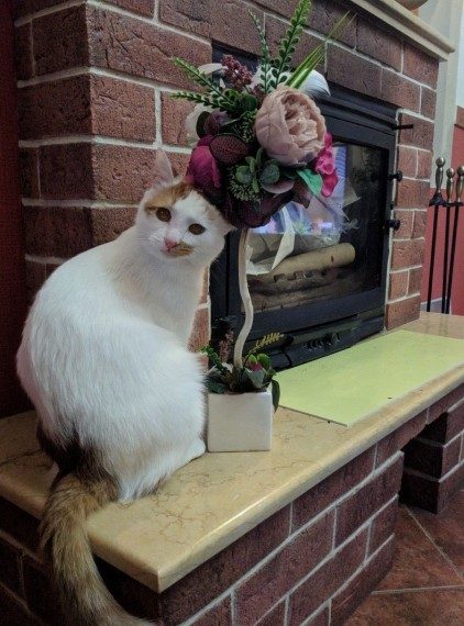 Весёлая подборка 