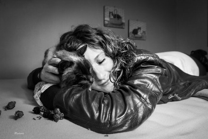 Когда пушистые комочки урчат и радуются Когда пушистые комочки урчат и радуются