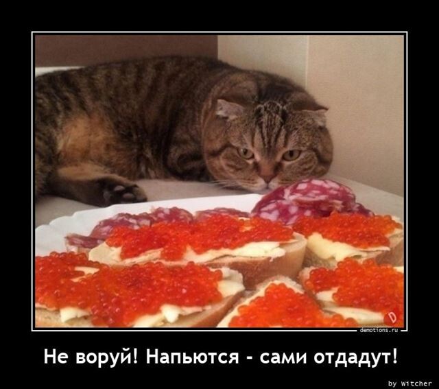 Ежедневная порция прикольных демотиваторов Ежедневная порция прикольных демотиваторов