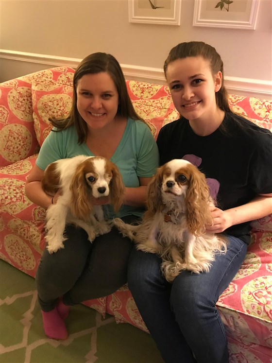 dog-doppelgangers-today-inline-004-180309_951dc2c70e815c613faab53835fa7dd9.fit-560w