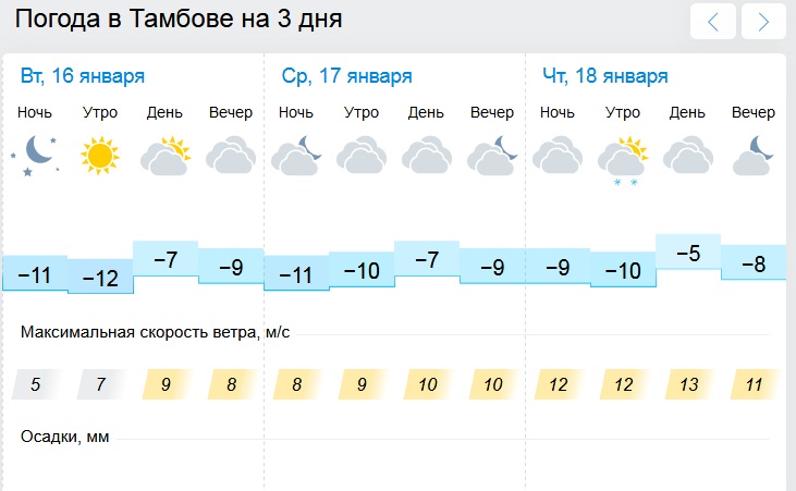 Погода в тамбове точный прогноз. Погода в Тамбове. Температура в Тамбове.