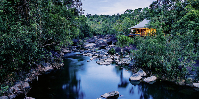 Удивительные существа из глубин океана Удивительные существа из глубин океана Путешествия,фото