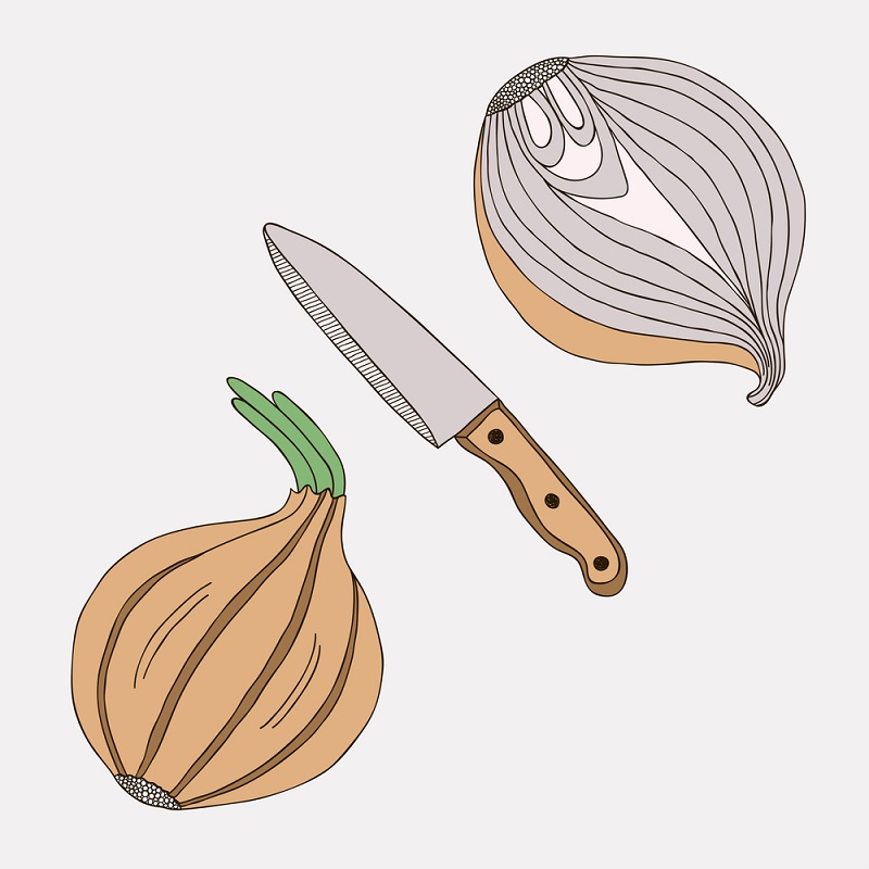 репчатый лук фото