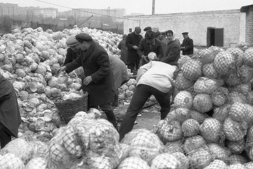 СССР — трудовое рабство и гнилая капуста.