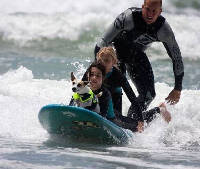 Подборка картинок. Дневной выпуск (56 фото)